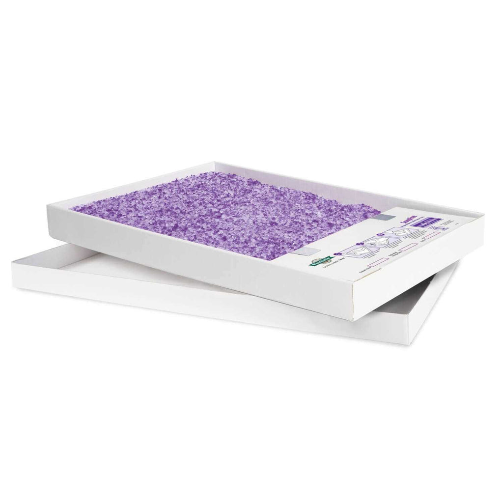 Crystal Disposable Litter Tray F98765