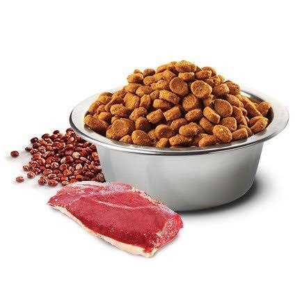 Lamb Quinoa Digestion O91000