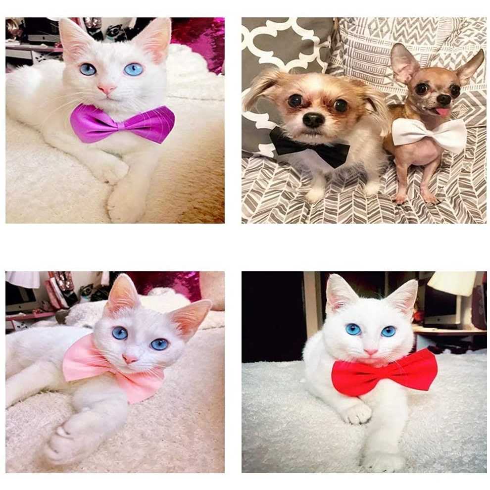 50Pcs Dog Bow Ties with Adjustable Collar C754