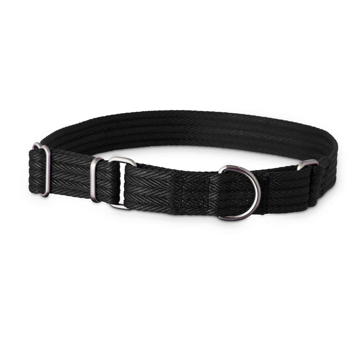 Martingale Dog Collar X735