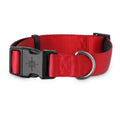 Neoprene Padded Dog Collar I653