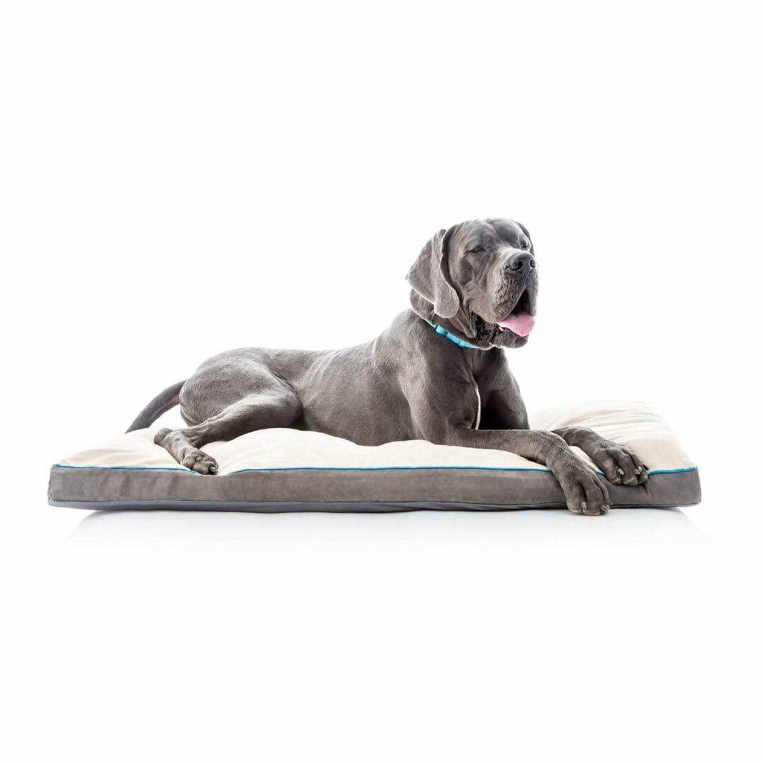 Soft Memory Foam Dog Bed with Removable Washable Cover E750