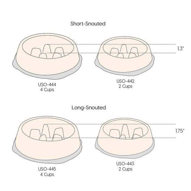 Slow Feeding Bowl R163235