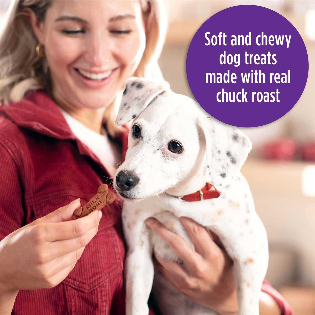 Soft & Chewy Beef Dog Treats X231
