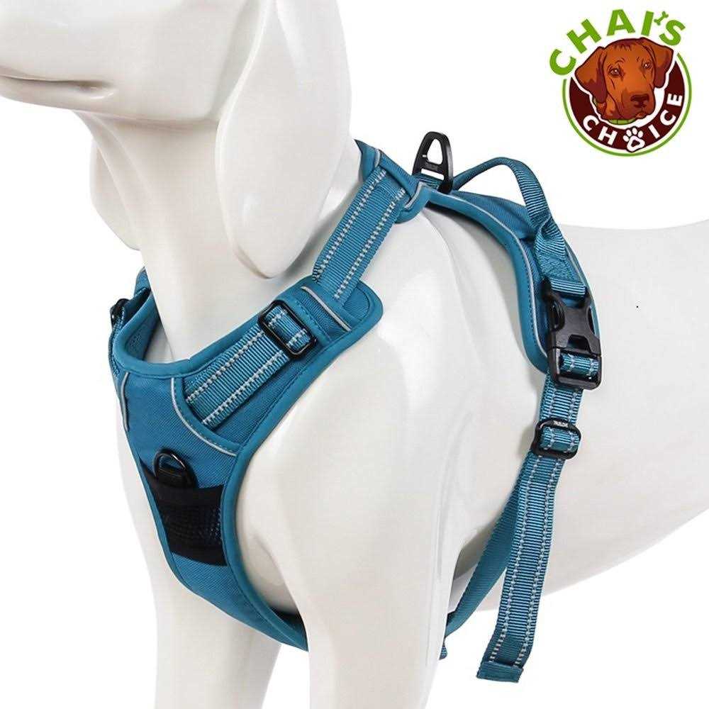 Reflective Dog Harness and Leash R893607