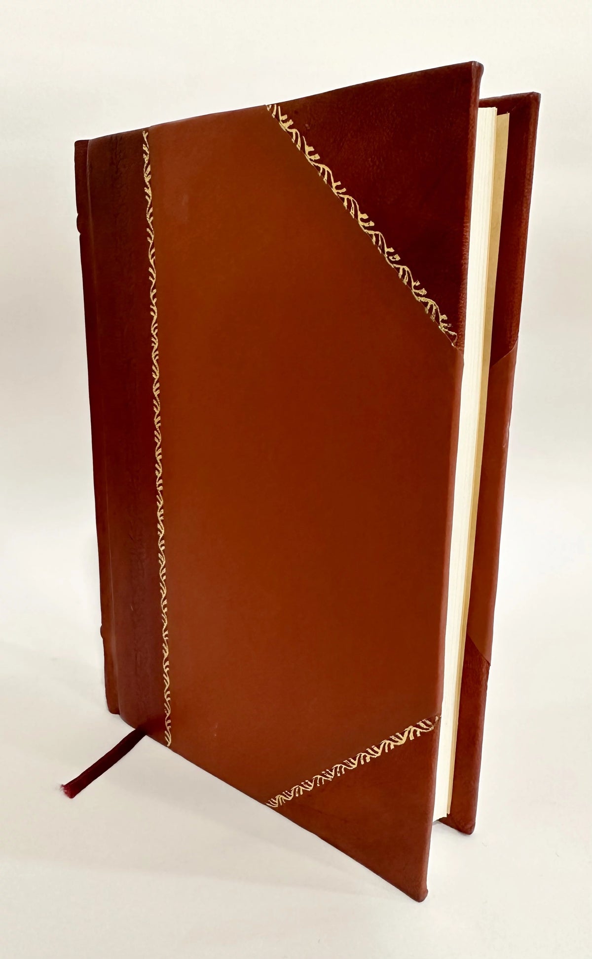 Leather Bound Book E5559