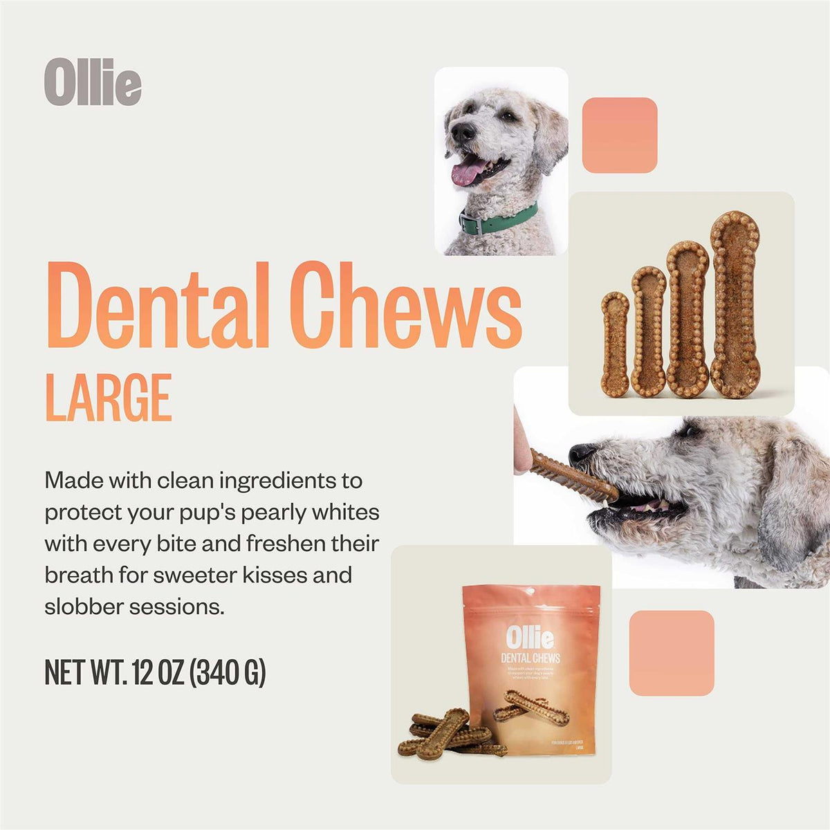 Dental Chews For Dogs Y207
